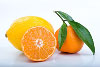 citrus fruit