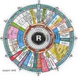 colored iris chart