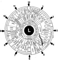 left eye map