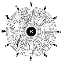 eye map right