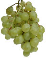 Bunch of Green Grapes