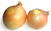 onion