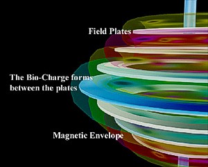 cross section